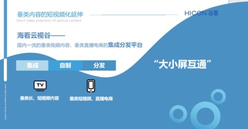 三晉論道，共話未來(lái) 海看股份許璐璐談精品垂類(lèi)內(nèi)容產(chǎn)業(yè)化與河北網(wǎng)站開(kāi)發(fā)的協(xié)同發(fā)展